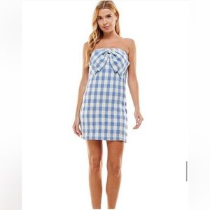 Gingham Strapless Bow Mini Dress in Blue and White